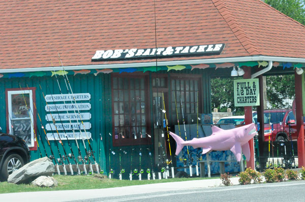 pink shark in Duck, NC